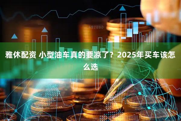 雅休配资 小型油车真的要凉了？2025年买车该怎么选