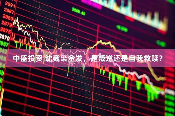 中盛投资 沈巍染金发，是叛逆还是自我救赎？