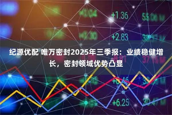 纪源优配 唯万密封2025年三季报：业绩稳健增长，密封领域优势凸显
