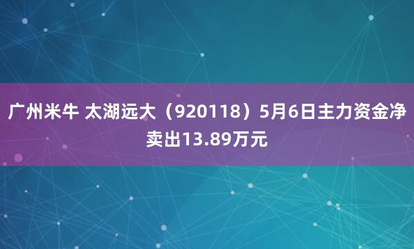 广州米牛 太湖远大（920118）5月6日主力资金净卖出13.89万元
