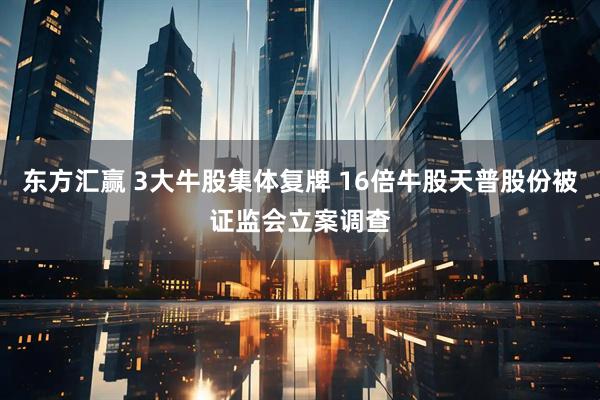 东方汇赢 3大牛股集体复牌 16倍牛股天普股份被证监会立案调查