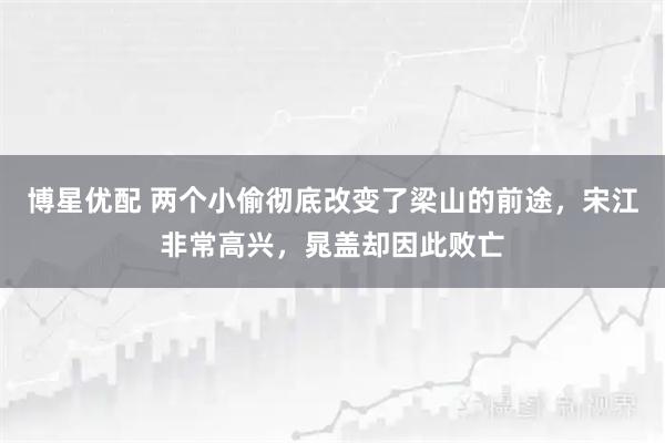 博星优配 两个小偷彻底改变了梁山的前途，宋江非常高兴，晁盖却因此败亡