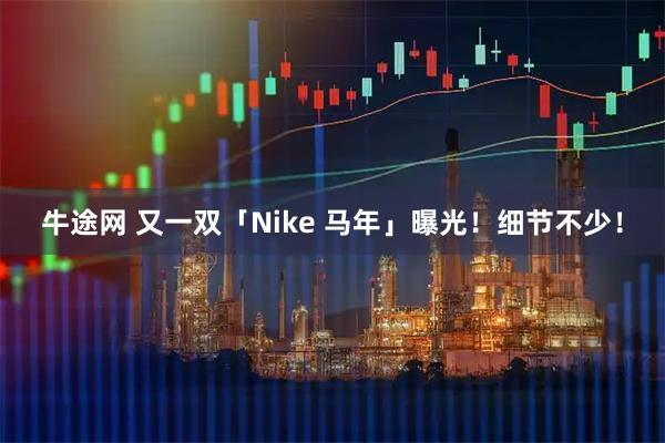 牛途网 又一双「Nike 马年」曝光！细节不少！