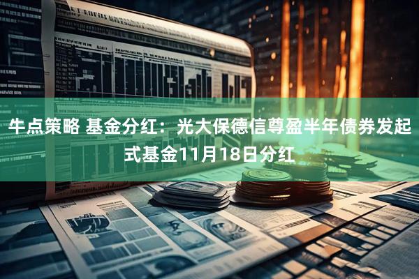 牛点策略 基金分红：光大保德信尊盈半年债券发起式基金11月18日分红