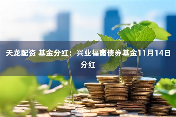 天龙配资 基金分红：兴业福鑫债券基金11月14日分红